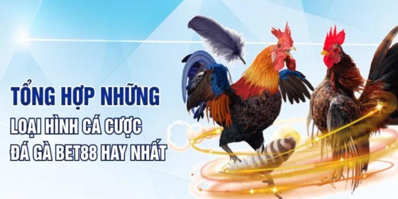 Hình thức phổ biến đá gà tại Bet88 là gì?