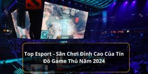 ảnh đại diện top esport